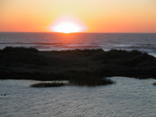 Oregon Coast
