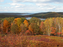 fall foliage2